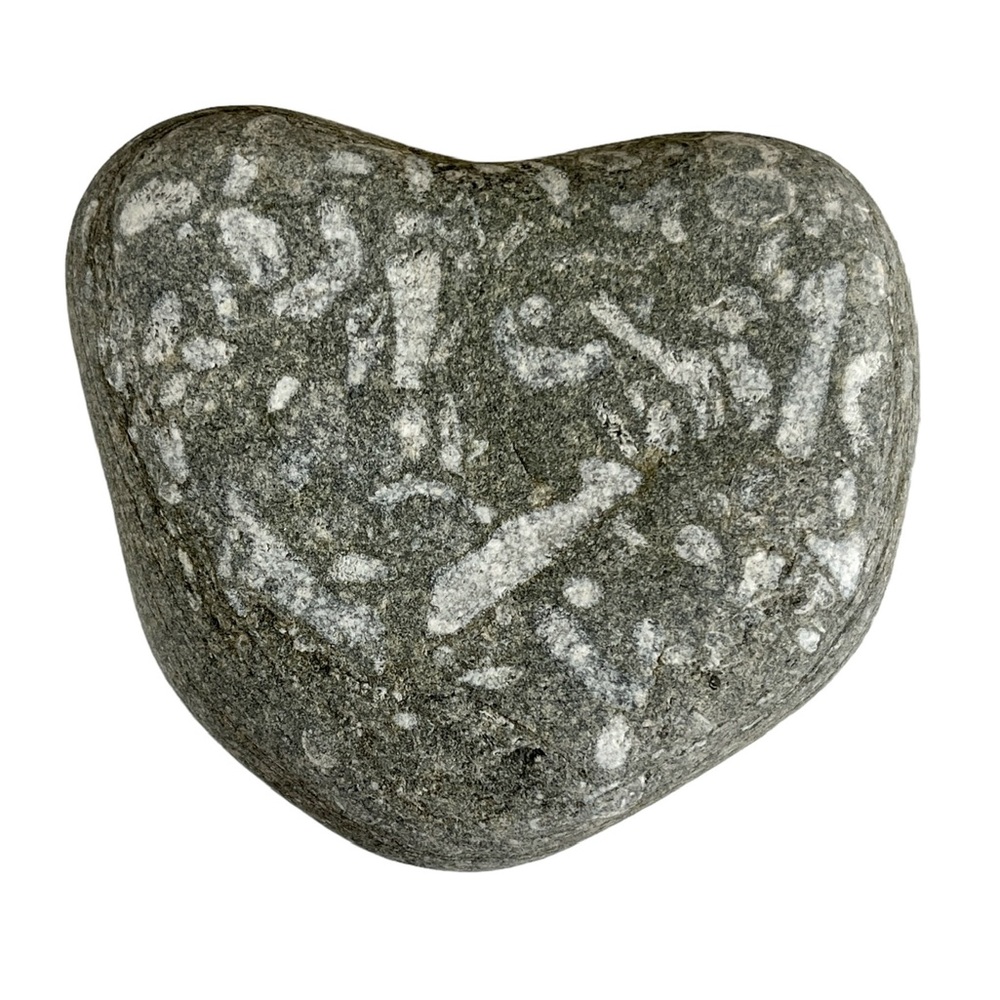 Heart-Shaped Fossil Stone – Fossiliferous Limestone with Shell Fragments